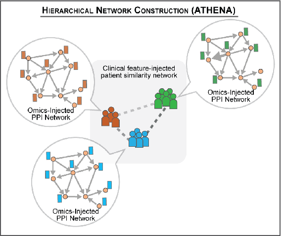 Figure 1 for Atherosclerosis through Hierarchical Explainable Neural Network Analysis
