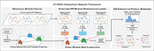 Figure 3 for Atherosclerosis through Hierarchical Explainable Neural Network Analysis