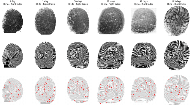 Figure 2 for An on-production high-resolution longitudinal neonatal fingerprint database in Brazil