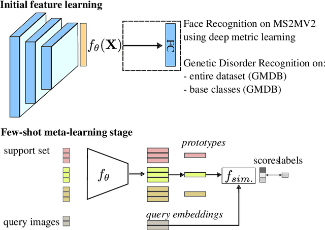 Figure 1 for Few-Shot Meta Learning for Recognizing Facial Phenotypes of Genetic Disorders