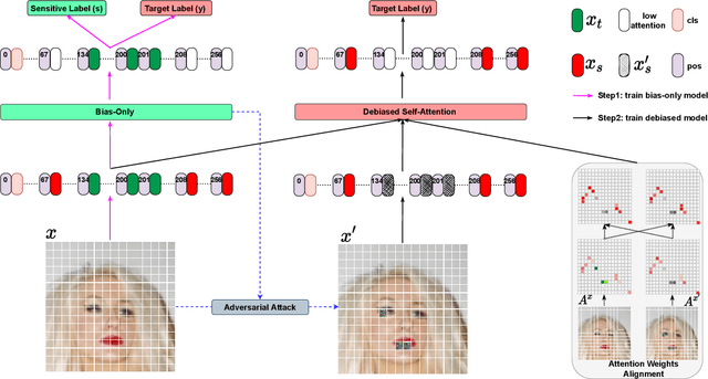 Figure 3 for Fairness-aware Vision Transformer via Debiased Self-Attention