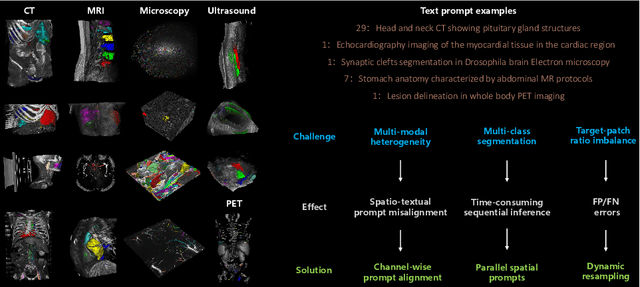 Figure 1 for Medal S: Spatio-Textual Prompt Model for Medical Segmentation
