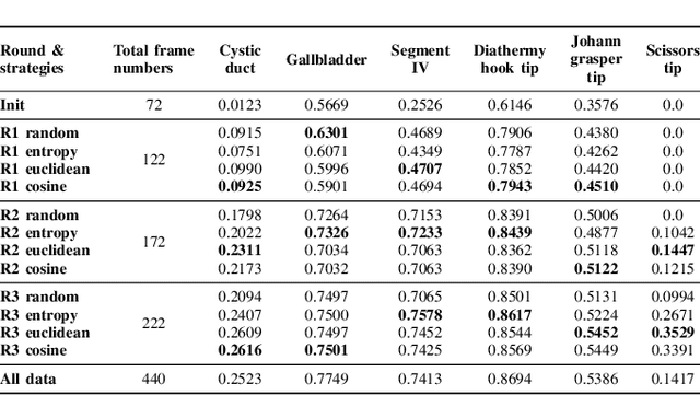 Figure 4 for Parsimonious Dataset Construction for Laparoscopic Cholecystectomy Structure Segmentation