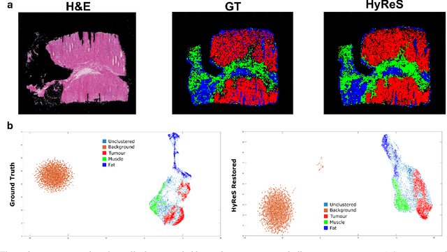 Figure 3 for Hyperspectral Image Restoration and Super-resolution with Physics-Aware Deep Learning for Biomedical Applications