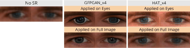 Figure 3 for Webcam-based Pupil Diameter Prediction Benefits from Upscaling