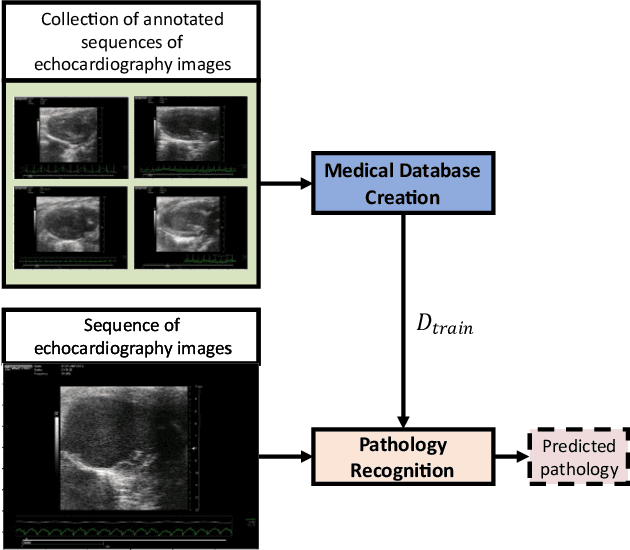 Figure 1 for Automatic Cardiac Pathology Recognition in Echocardiography Images Using Higher Order Dynamic Mode Decomposition and a Vision Transformer for Small Datasets