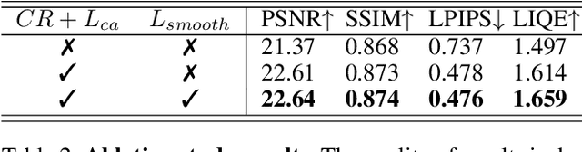 Figure 4 for Bright-NeRF:Brightening Neural Radiance Field with Color Restoration from Low-light Raw Images