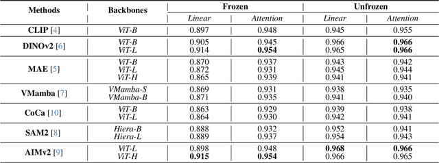 Figure 1 for Advancements in Medical Image Classification through Fine-Tuning Natural Domain Foundation Models