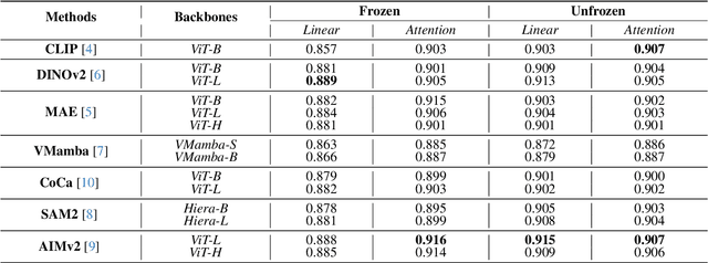 Figure 3 for Advancements in Medical Image Classification through Fine-Tuning Natural Domain Foundation Models