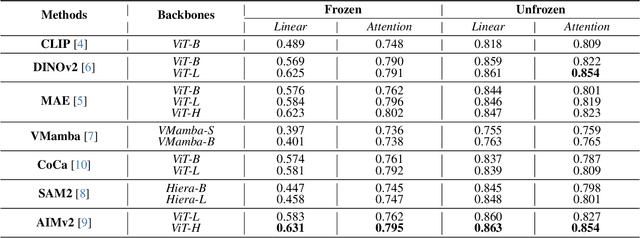 Figure 4 for Advancements in Medical Image Classification through Fine-Tuning Natural Domain Foundation Models