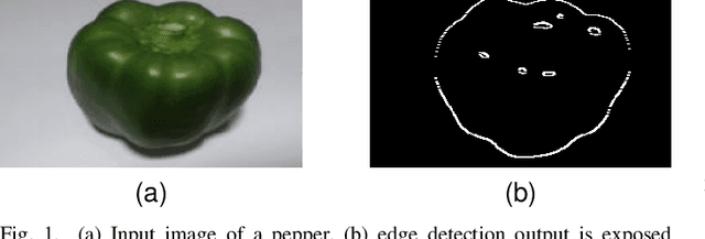 Figure 1 for A Pseudo-Boolean Polynomials Approach for Image Edge Detection