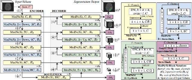 Figure 1 for Advanced Tumor Segmentation in Medical Imaging: An Ensemble Approach for BraTS 2023 Adult Glioma and Pediatric Tumor Tasks