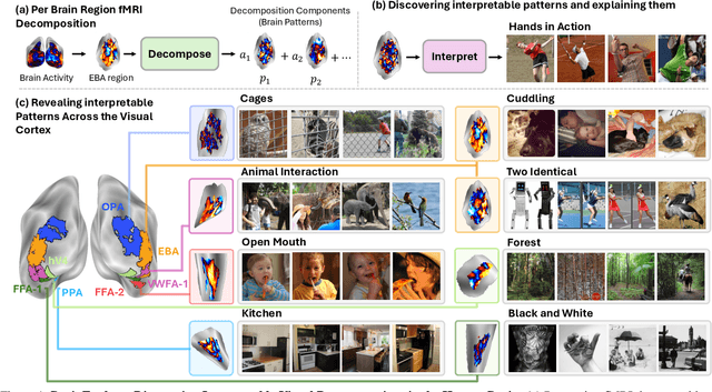 Figure 1 for BrainExplore: Large-Scale Discovery of Interpretable Visual Representations in the Human Brain