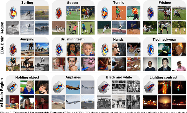 Figure 4 for BrainExplore: Large-Scale Discovery of Interpretable Visual Representations in the Human Brain