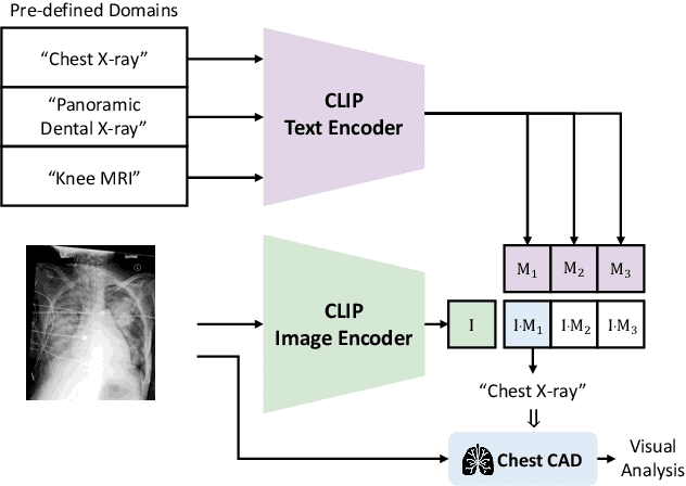 Figure 2 for ChatCAD+: Towards a Universal and Reliable Interactive CAD using LLMs