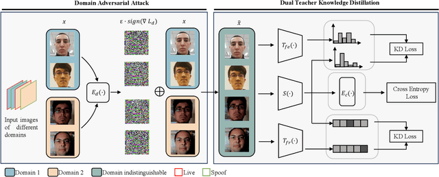 Figure 2 for Dual Teacher Knowledge Distillation with Domain Alignment for Face Anti-spoofing