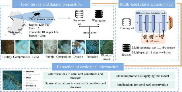 Figure 1 for Multi-label classification for multi-temporal, multi-spatial coral reef condition monitoring using vision foundation model with adapter learning