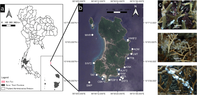 Figure 3 for Multi-label classification for multi-temporal, multi-spatial coral reef condition monitoring using vision foundation model with adapter learning