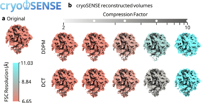 Figure 1 for cryoSENSE: Compressive Sensing Enables High-throughput Microscopy with Sparse and Generative Priors on the Protein Cryo-EM Image Manifold