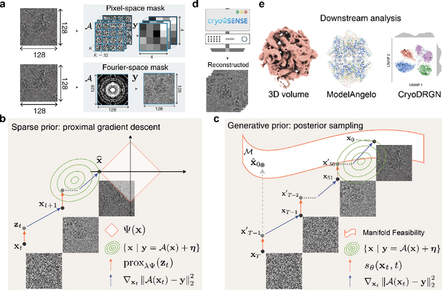 Figure 3 for cryoSENSE: Compressive Sensing Enables High-throughput Microscopy with Sparse and Generative Priors on the Protein Cryo-EM Image Manifold