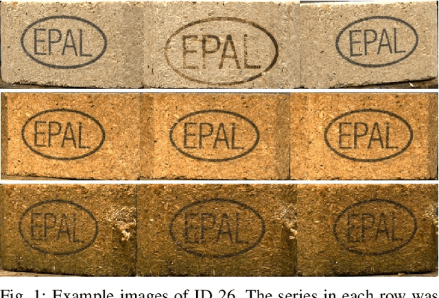 Figure 1 for Enhancing Long-Term Re-Identification Robustness Using Synthetic Data: A Comparative Analysis