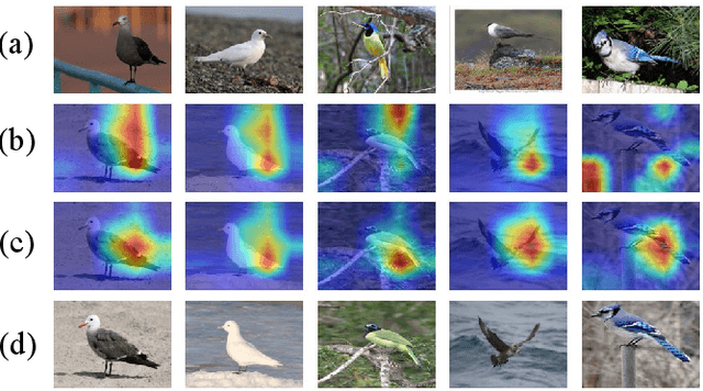 Figure 4 for Saliency-Guided Mutual Learning Network for Few-shot Fine-grained Visual Recognition
