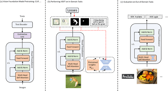 Figure 4 for Supervised Fine-tuning in turn Improves Visual Foundation Models