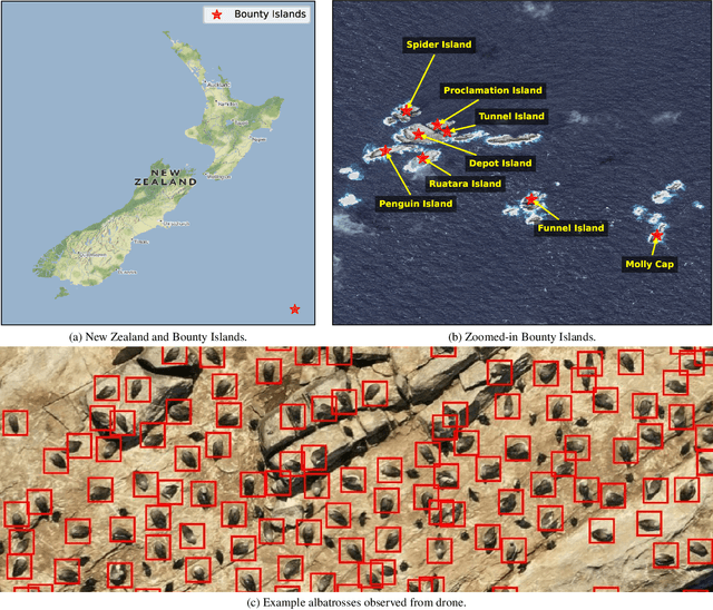 Figure 1 for Automated Detection of Salvin's Albatrosses: Improving Deep Learning Tools for Aerial Wildlife Surveys