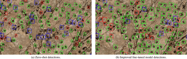 Figure 3 for Automated Detection of Salvin's Albatrosses: Improving Deep Learning Tools for Aerial Wildlife Surveys