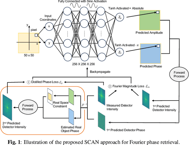 Figure 1 for Coordinate-based Neural Network for Fourier Phase Retrieval