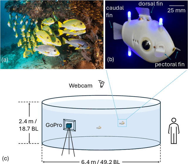 Figure 1 for Leader-Follower 3D Formation for Underwater Robots