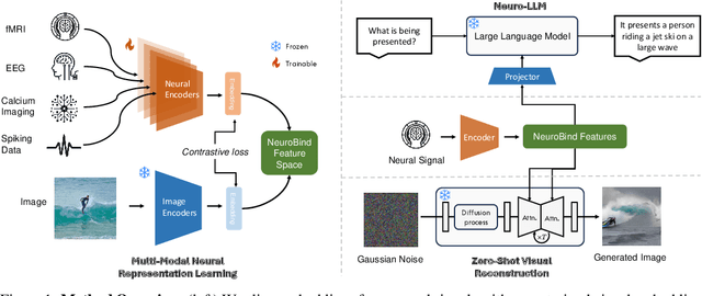 Figure 1 for NeuroBind: Towards Unified Multimodal Representations for Neural Signals