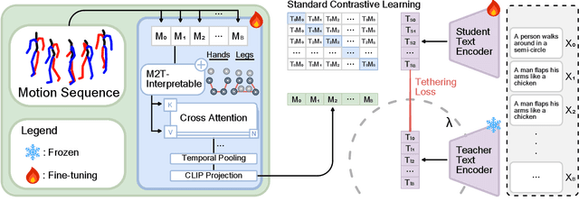 Figure 1 for MoCLIP: Motion-Aware Fine-Tuning and Distillation of CLIP for Human Motion Generation
