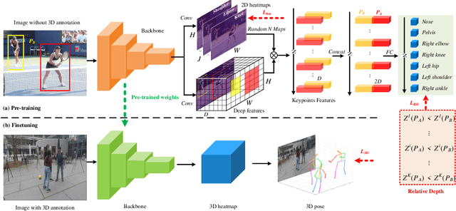 Figure 3 for Weakly-supervised Pre-training for 3D Human Pose Estimation via Perspective Knowledge