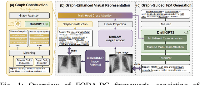 Figure 1 for FODA-PG for Enhanced Medical Imaging Narrative Generation: Adaptive Differentiation of Normal and Abnormal Attributes