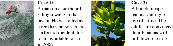 Figure 1 for How to Describe Images in a More Funny Way? Towards a Modular Approach to Cross-Modal Sarcasm Generation