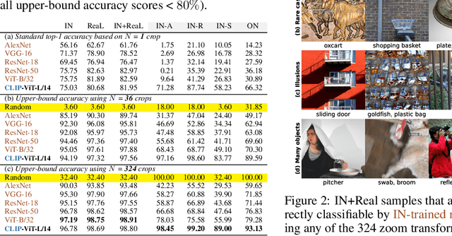 Figure 3 for Zoom is what you need: An empirical study of the power of zoom and spatial biases in image classification