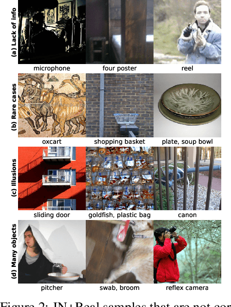 Figure 2 for Zoom is what you need: An empirical study of the power of zoom and spatial biases in image classification
