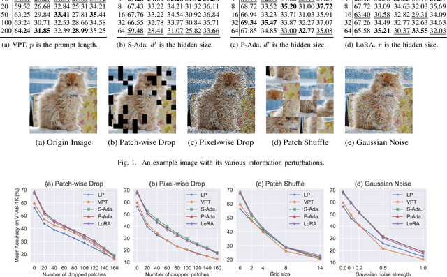 Figure 1 for Understanding Robustness of Parameter-Efficient Tuning for Image Classification