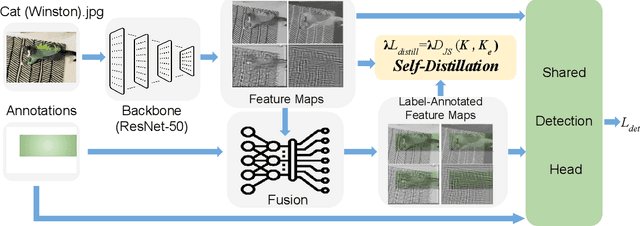 Figure 1 for Smooth and Stepwise Self-Distillation for Object Detection