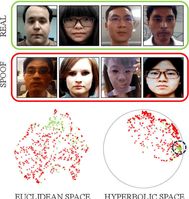 Figure 1 for Hyp-OC: Hyperbolic One Class Classification for Face Anti-Spoofing
