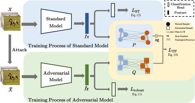 Figure 4 for Topology-Preserving Adversarial Training