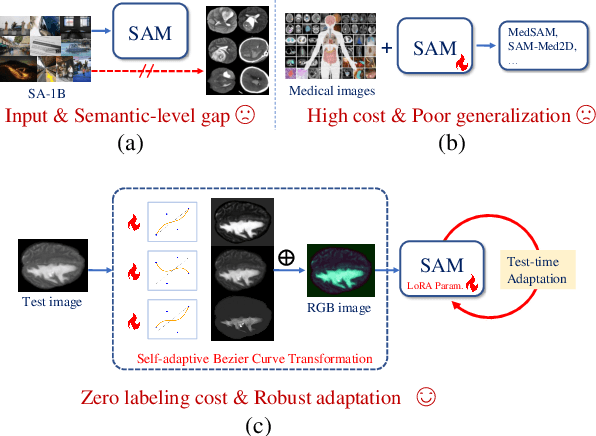 Figure 1 for SAM-aware Test-time Adaptation for Universal Medical Image Segmentation