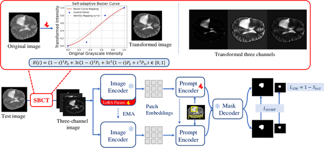 Figure 3 for SAM-aware Test-time Adaptation for Universal Medical Image Segmentation