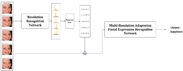Figure 3 for Dynamic Resolution Guidance for Facial Expression Recognition
