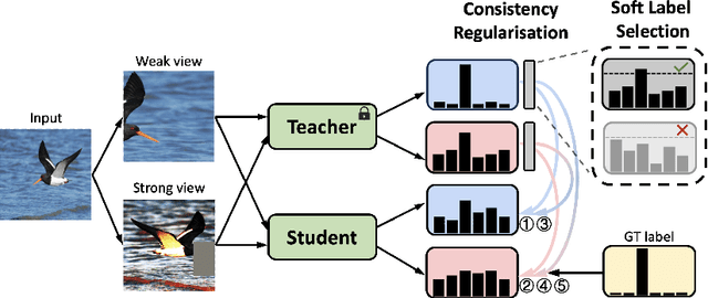 Figure 3 for Cross-View Consistency Regularisation for Knowledge Distillation