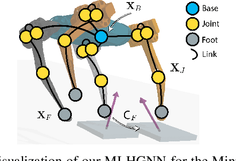 Figure 1 for MI-HGNN: Morphology-Informed Heterogeneous Graph Neural Network for Legged Robot Contact Perception