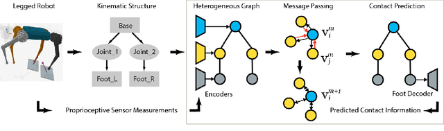 Figure 2 for MI-HGNN: Morphology-Informed Heterogeneous Graph Neural Network for Legged Robot Contact Perception