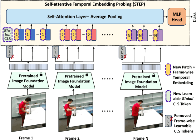 Figure 2 for Order Matters: On Parameter-Efficient Image-to-Video Probing for Recognizing Nearly Symmetric Actions