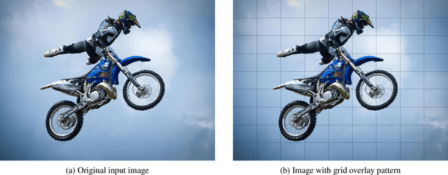 Figure 1 for Grid-augmented vision: A simple yet effective approach for enhanced spatial understanding in multi-modal agents